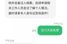 滨海新区为什么选择专业追讨公司来处理您的债务纠纷？